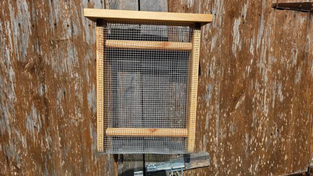 Jumbo Wooden Bird Feeder - Made in The UK - image 1