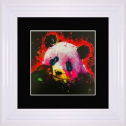 Patrice Murciano Wall Art - Panda Pop Framed Print With Border - 55cm X 55cm Choice Of Frame Colour - thumbnail 4