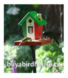 "Italy World Cup Soccer ""Bird Feeder"