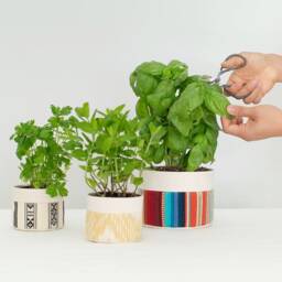 Small Natural Canvas Sitting Planter - Red + Blue - thumbnail 2