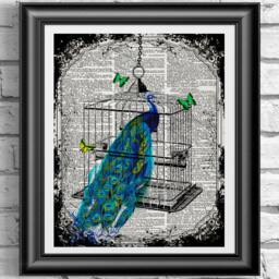 Peacock Bird Cage Print On Antique Dictionary Page, & Butteflies Old Book Page Print. Wall Decor, Art Dictionary - thumbnail 1