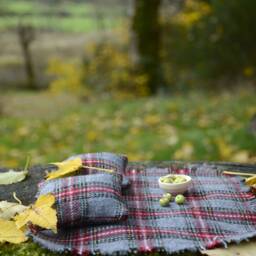 Dollhouse Miniature Picnic Rug & Cushions Tartan Scottish Blanket - thumbnail 2