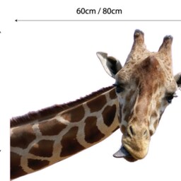 Giraffe Wall Decal Kids Graphic Bedroom Playroom Nursery Sticker - thumbnail 2
