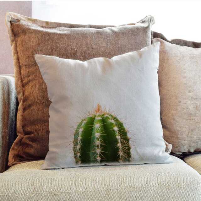 Cactus Cacti Succulcent Photography - Decorative Pillow Throw Cushion Fabric , Case Cover Or With Filling