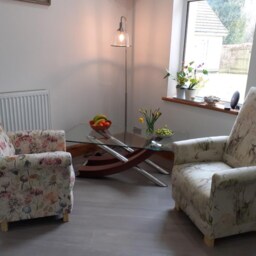 Laura Ashley Belvedere Fabric Adult Chair Armchair Peacocks Birds Botanical Duck Egg Green Midnight Blue Soft Truffle Velvet Chalk Lilac - thumbnail 4