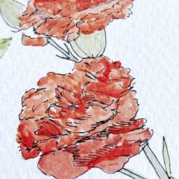 Ohio State Flower Map Watercolor Scarlet Carnation - Art Print Floral Mothers Day Gift Wall Graduation Wedding Realtor Moving - thumbnail 3