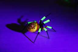 Red Uranium Glass Spider Surprise Vaseline Figurine Uv Black