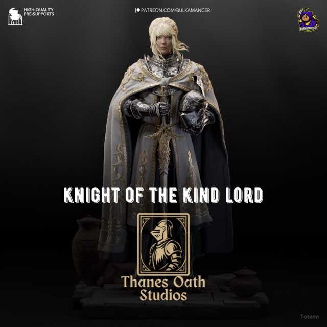 Knight Of The Kind Lord - Zealous Champion Gothic Souls-Like Dark Fantasy Needle Leda Resin Figure 16K - image 1