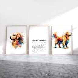 Golden Retriever Dog Prints - Set Of 3 Posters - Watercolour Definition Wall Art Colourful Painting Room Decor Dogs Artwork Gift Pet - thumbnail 2