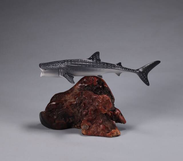 Whale Shark Sculpture By John Perry 9In Long On Polished Burlwood. Signed - image 1