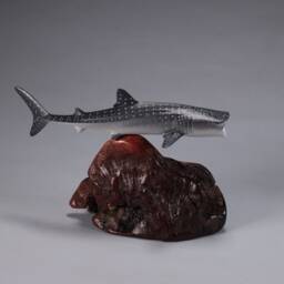 Whale Shark Sculpture By John Perry 9In Long On Polished Burlwood. Signed - thumbnail 2