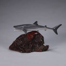 Whale Shark Sculpture By John Perry 9In Long On Polished Burlwood. Signed - thumbnail 3