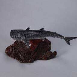 Whale Shark Sculpture By John Perry 9In Long On Polished Burlwood. Signed - thumbnail 4
