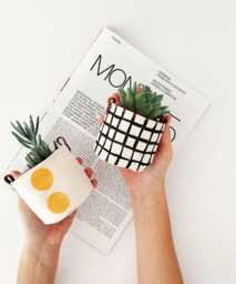 Block Printed Fabric Planter Covers Set Modern Scandinavian Style, Leather Detail - Mini Succulent Pots, Indoor Plant Decor
