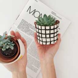 Block Printed Fabric Planter Covers Set Modern Scandinavian Style, Leather Detail - Mini Succulent Pots, Indoor Plant Decor - thumbnail 2