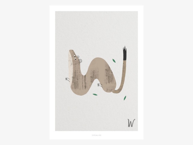 Poster Mural/Abc Kids W Poster, Animal Alphabet, Letters, Children's Room Wall Decoration Room, Art Print, As A Gift - image 1