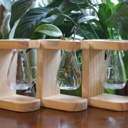 Single Propagation Station For Plant Cuttings, Bulbs Or Cut Flowers - thumbnail 2