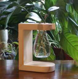 Single Propagation Station For Plant Cuttings, Bulbs Or Cut Flowers