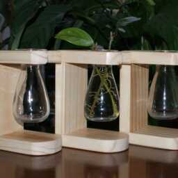 Single Propagation Station For Plant Cuttings, Bulbs Or Cut Flowers - thumbnail 4