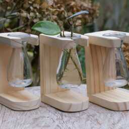 Single Propagation Station For Plant Cuttings, Bulbs Or Cut Flowers - thumbnail 3