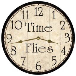 Time Flies Clock - Retirement Clock - thumbnail 1
