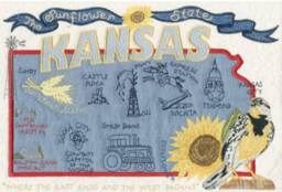 Kansas State Pillow With Feather Insert - thumbnail 2