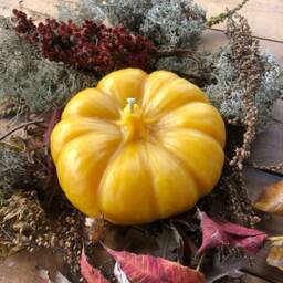 "Handmade Pumpkin Beeswax Candle - Pure Michigan Scented 5.25"" X 2.25" - thumbnail 2