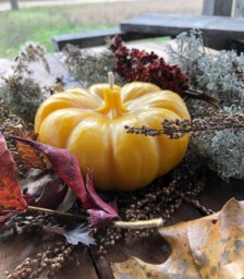 "Handmade Pumpkin Beeswax Candle - Pure Michigan Scented 5.25"" X 2.25" - thumbnail 1