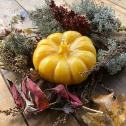 "Handmade Pumpkin Beeswax Candle - Pure Michigan Scented 5.25"" X 2.25" - thumbnail 3