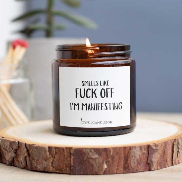 Funny Manifesting Candle, Book Lover Gift, Vegan Handmade Scented Candle - image 1