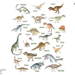 Named Dinosaur Wall Sticker Pack, Names Decals, Stickers For Walls, Themed Room, Nursery - thumbnail 2