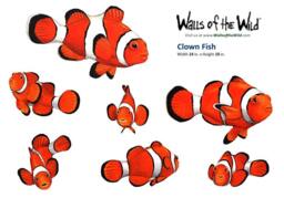 Clown Fish Nemo Style Assortment Wall Decal - thumbnail 1