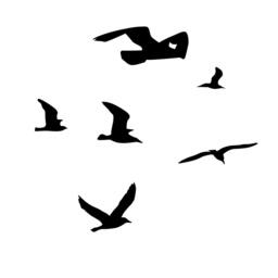 Seagulls Flock Flying Sihlouettes - Wall Decal Custom Vinyl Art Stickers - thumbnail 2