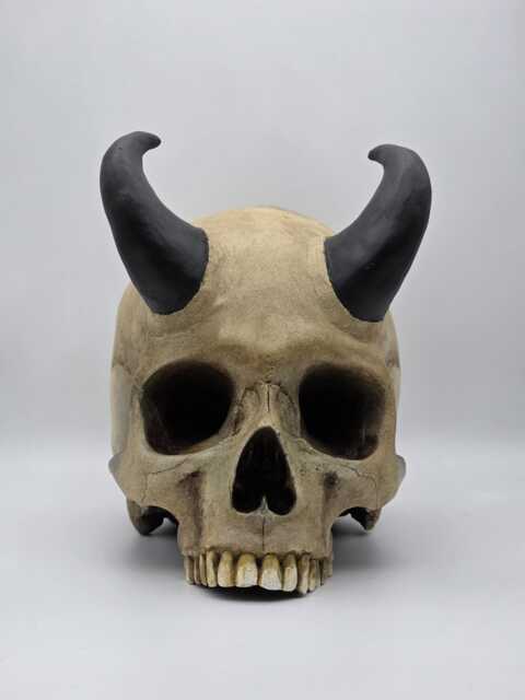 Horned Skull. Plaster Of Paris Life Size Human Skull Replica - image 1