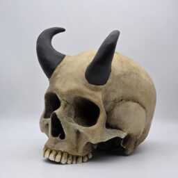Horned Skull. Plaster Of Paris Life Size Human Skull Replica - thumbnail 2