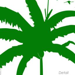 Coconut Palm Tree Wall Decal Flamingos & Toucans, Kids Nursery Decor - thumbnail 3