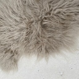 Luxury Tibetan Sheepskin Rug in Our New Oyster Colour - thumbnail 4