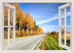 Road Wall Decal Mural, 3D Window View Decal, Forest Sticker, Nature Bedroom Home Decor Living Room