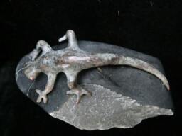 Gecko/ Bronze Lizard On Soap Stone/ Massive With Gray-Green Patin Partly Prepared & Polished Stone - thumbnail 1