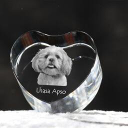 Lhasa Apso, Crystal Heart With Dog, Souvenir, Decoration, Limited Edition, Collection - thumbnail 2