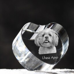 Lhasa Apso, Crystal Heart With Dog, Souvenir, Decoration, Limited Edition, Collection - thumbnail 3