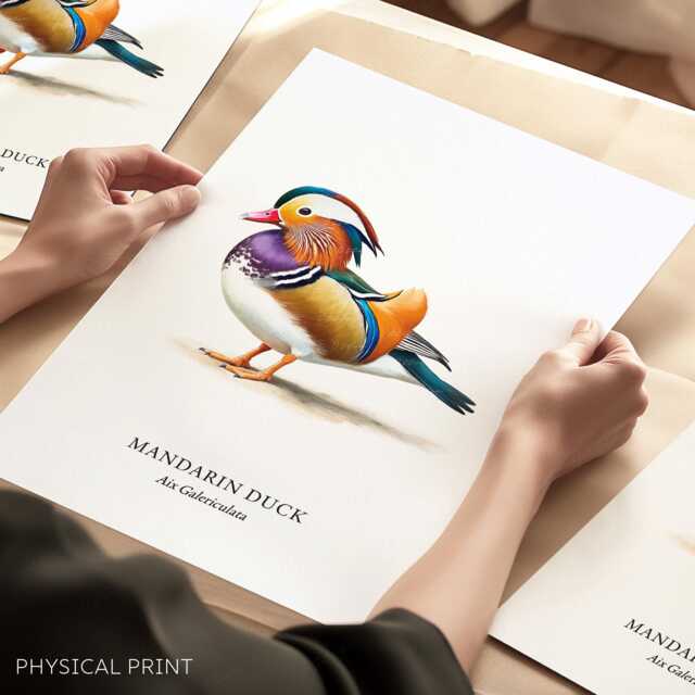 Duck Prints, Mandarine Poster, Wildlife Wall Art, Breeds, Decor - image 1