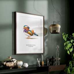 Duck Prints, Mandarine Poster, Wildlife Wall Art, Breeds, Decor - thumbnail 3