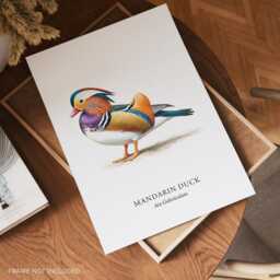 Duck Prints, Mandarine Poster, Wildlife Wall Art, Breeds, Decor - thumbnail 2