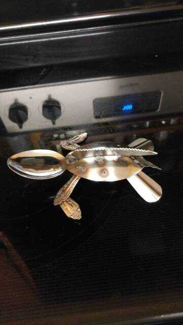One Of A Kind Leatherback Sea Turtle - image 1