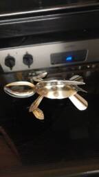 One Of A Kind Leatherback Sea Turtle - thumbnail 1