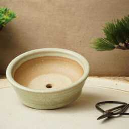 Handmade Green Mame Bonsai Pot. 9.5cm Diameter, 3cm High. G2486.2 - thumbnail 3
