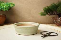 Handmade Green Mame Bonsai Pot. 9.5cm Diameter, 3cm High. G2486.2 - thumbnail 1