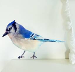 Blue Jay Wall Decal, Bird Sticker, Get Well Gift, Watercolor Vinyl, Nursery, Bird, Newborn Gift - thumbnail 1