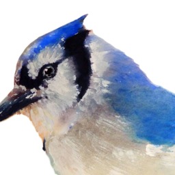 Blue Jay Wall Decal, Bird Sticker, Get Well Gift, Watercolor Vinyl, Nursery, Bird, Newborn Gift - thumbnail 2